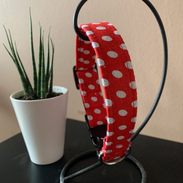Collar-Red Dots-1.jpeg